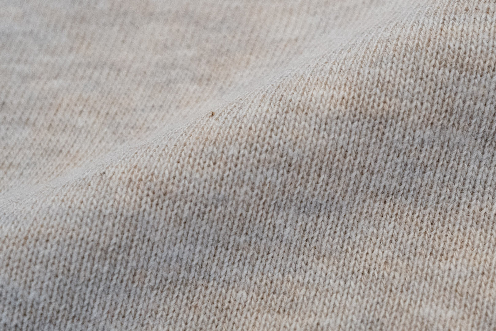 Warehouse Lot.401 10oz "Standard" Loopwheeled Sweatshirt (Oatmeal)