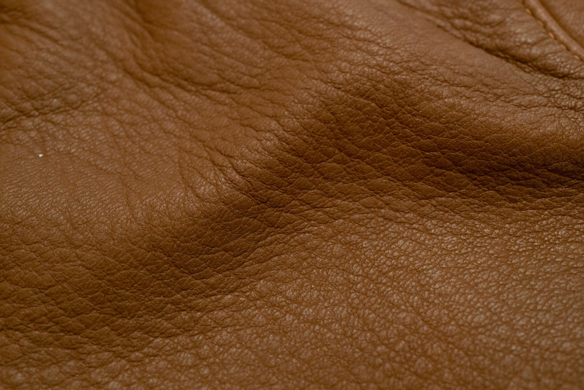 The Flat Head X CORLECTION Deerskin Stand Collar Single Riders Jacket (Brown)