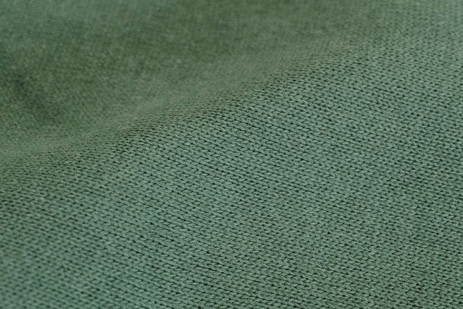 Warehouse Lot.483 12oz "Ultra-Heavy" Loopwheeled Sweatshirt (Green)