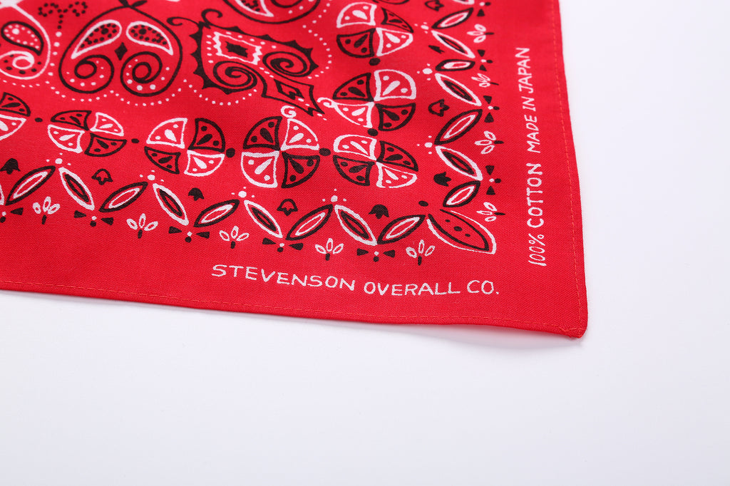 Stevenson Overall Red Paisley Bandana and Scarf