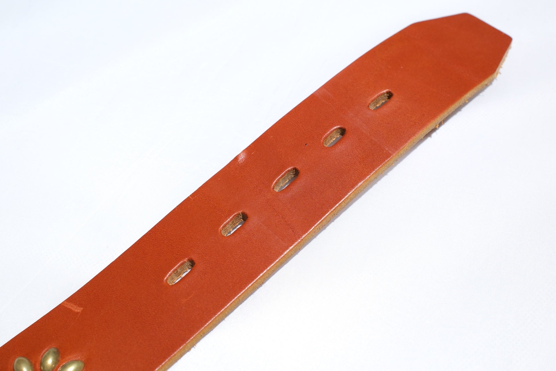 Hollywood Trading Company "Full Bloom" Belt (Light Brown Teacore)