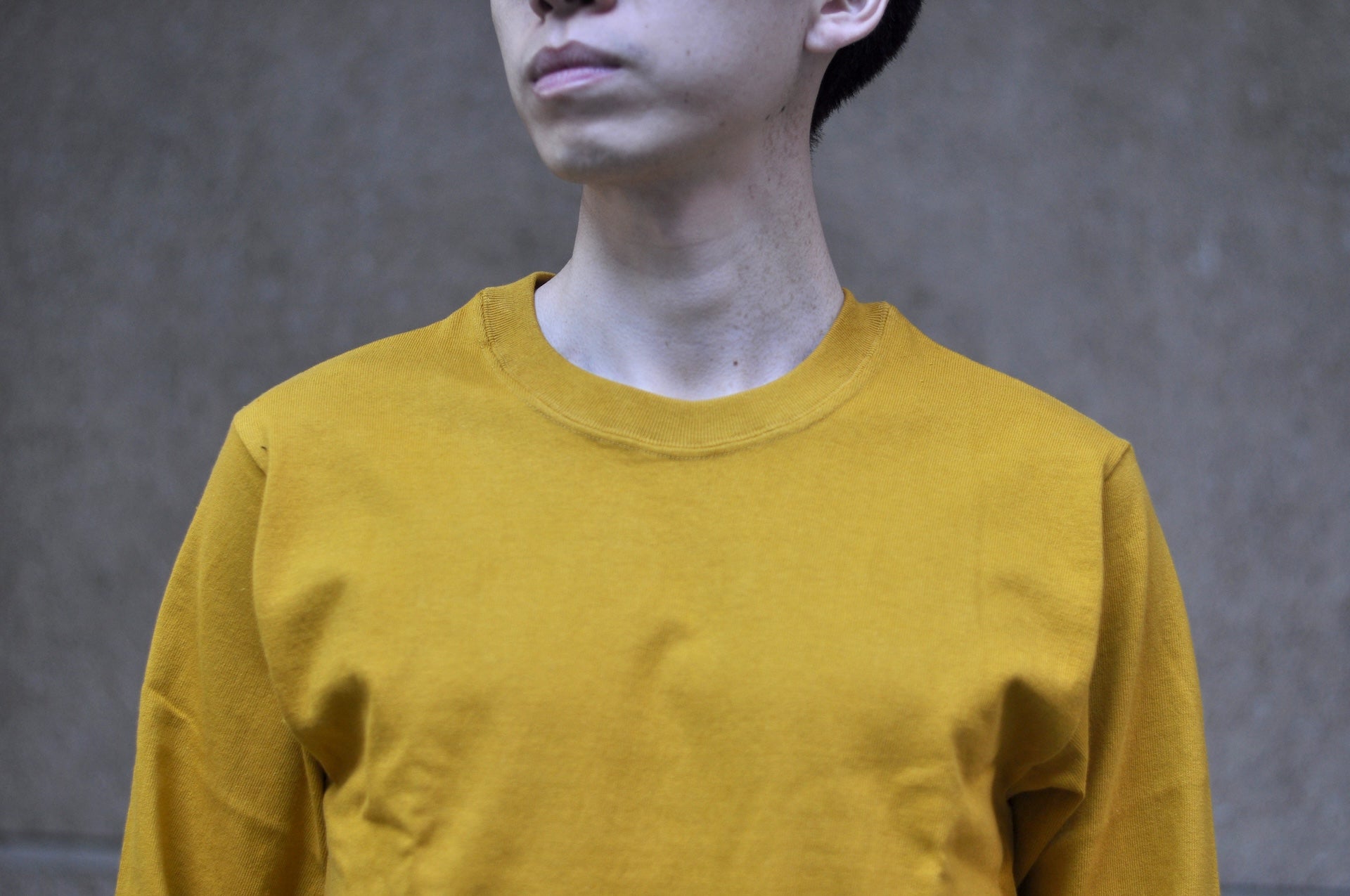 Warehouse Co. 10oz Cotton Knit L/S Plain Sweater (Yellow)